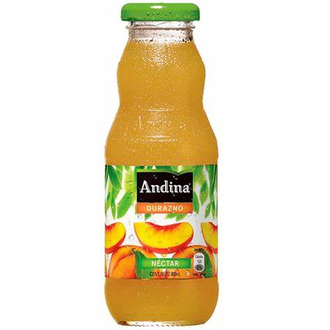 Andina 300Ml. Durazno