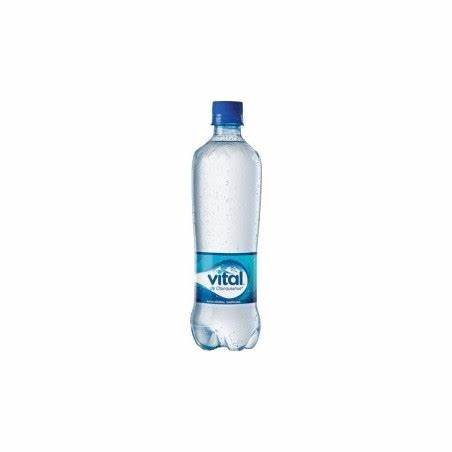 Vital 600 con Gas