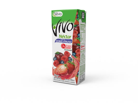 Vivo 190Ml Berries Tetra